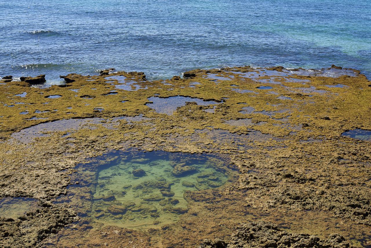 Oceanus Aparthotel Albufeira Luaran gambar